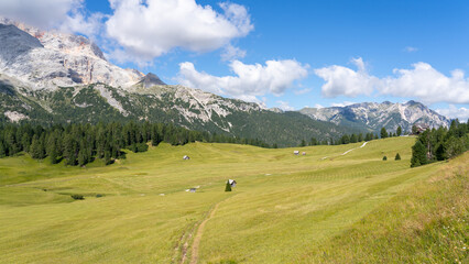 Prato Piazza. Dolomites, Italy. A perspective of the ground's colors and shapes. Relaxing context. Traditional Alpine or Dolomites landscape. Amazing view of the hills and the mountains