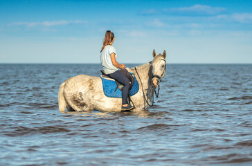 A young woman is sitting astride a horse. Selective focus. Horse in the water