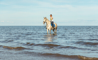 A young woman is sitting astride a horse. Selective focus. Horse in the water