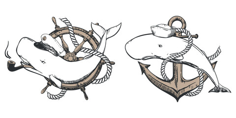 A white sperm whale in a captain's cap and a cachalot in a sailor panama. A creative illustration of a whale entwined with a rope on an anchor and shruval. Old school tattoo sketch, for t-shirt prints © Tata Pilip