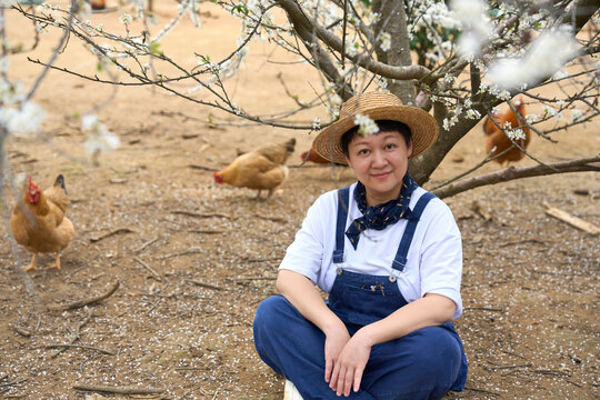 Asian woman sitting under plum tree with blooming flowers