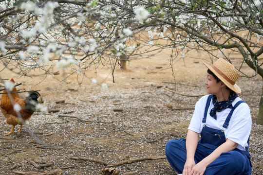 Asian woman sitting under plum tree with blooming flowers
