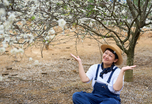 Asian woman sitting under plum tree with blooming flowers