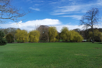 Fototapeta na wymiar Low Angle View of Local Public Park and Beautiful Trees a Clear and Cold Day of 24-March-2023 at Luton Town of England UK. 