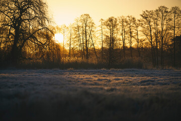 Tranquil Sunrise in Natures Beauty.