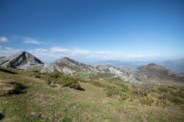 Fototapeta na wymiar Bergsee Covadonga im Nationalpark Picos de Europa in Asturien in Nordspanien 