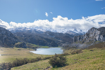 Naklejka na ściany i meble Bergsee Covadonga im Nationalpark Picos de Europa in Asturien in Nordspanien 