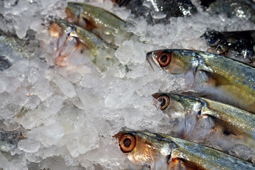 Fresh fish on the ice in the supermarket in Yogyakarta, Indonesia