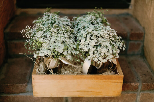 Baby's Breath in a Wood Box