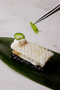Squid Nigiri