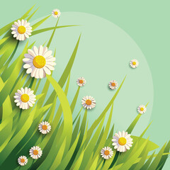 Beautiful Daisies Flowers With Leaves On Green Background.