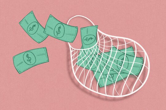 Money bag