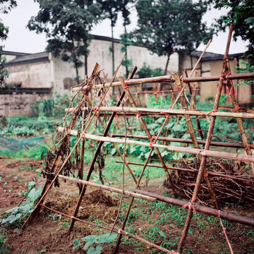 The loofah shed in the vegetable field