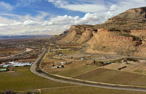 Palisade