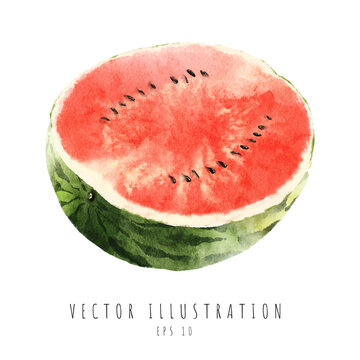A half watermelon watercolor painting isolated on white background