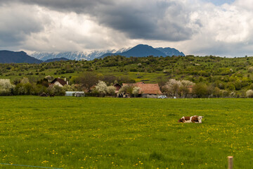 Zarnesti, Romania. The town in Zarnesti.