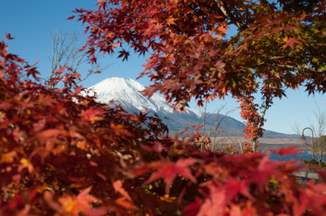 autumn in the mountains