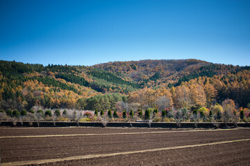 road in the mountains