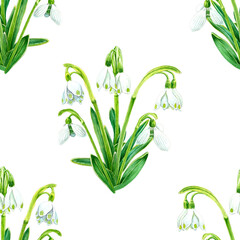 Seamless pattern of watercolor snowdrops flowers. Hand drawn illustration. Botanical hand painted floral elements on white background. Spring flower drawing.