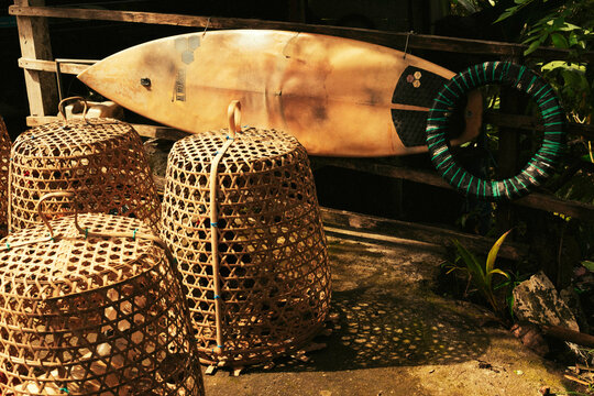 Surfboard and roosters