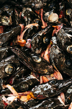 Traditional Portuguese Espetada fish at market.