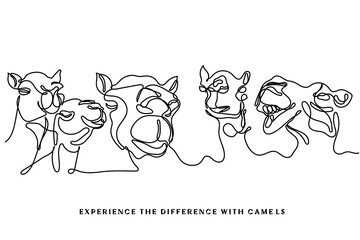 Camels line art 