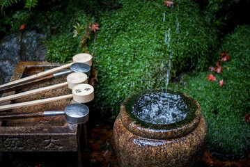 fountain in the garden