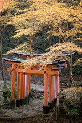 wooden bench in the park