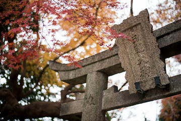 cross in autumn park