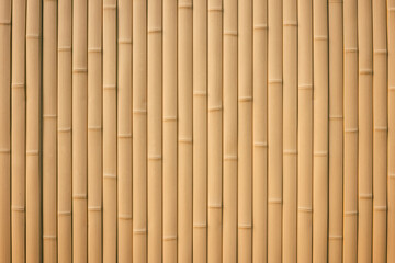 Texture of a light brown bamboo wall. Bamboo sticks background