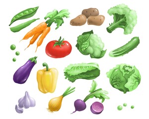Vegetable set. Digital illustration
