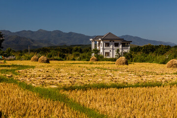 Fototapeta na wymiar Rural landscape near Muang Sing, Laos