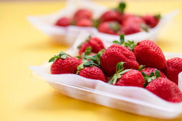 いちご　ふるさと納税　返礼品