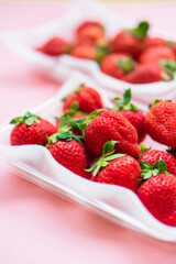 いちご　ふるさと納税　返礼品