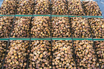 Boxes of dried dates at the date market in Buraydah / Saudi Arabia