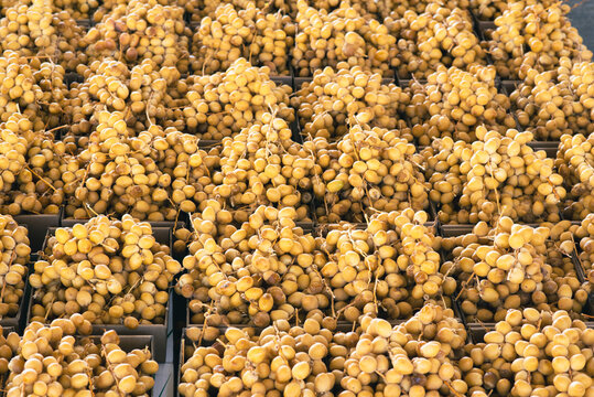 Crates of fresh dates at the date market in Buraydah / Saudi Arabia