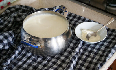 fermenting yogurt, fermenting yogurt at home, making homemade yogurt,