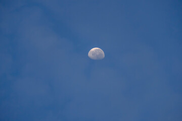 Closeup moon in summer can be seen in the evening just before sunset.