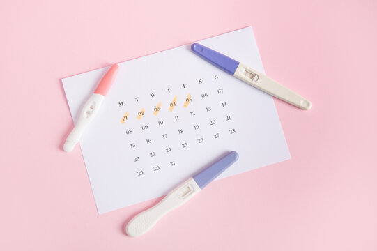 Flat lay Inkjet pregnancy test kits on a white calendar with marked dates in last menstruation, pink background. Calculation of ovulation day. Planning maternity. Gynecology and women's health concept