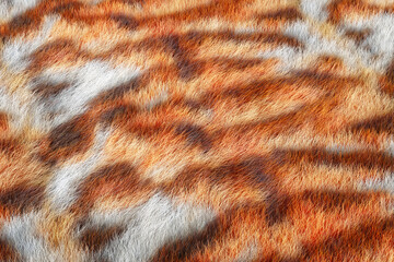 Tiger Hair Fur. 3d Rendering