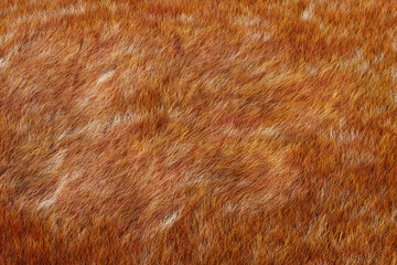 Dog Hair Fur. 3d Rendering