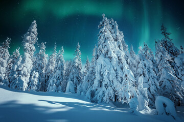 Amazing winter landscape. Wonderland in winter. Spectacular aurora borealis (northern lights) over forest through winter frosty pine trees in night scenery. Creative image. winter holiday concept. - 585049804