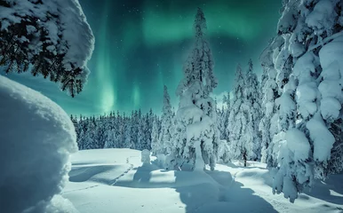 Foto op Plexiglas Amazing winter landscape. Winter scenery with snow capped pine trees and aurora borealis (northern lights). Night nature landscape with polar lights. Creative image. Natural background © jenyateua