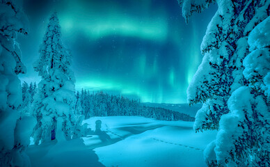 Aurora borealis over the frosty forest. Green northern lights above mountains. Night nature landscape with polar lights. Night winter landscape with aurora. Creative image. winter holiday concept. - 585050034