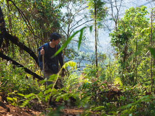 Naklejka na ściany i meble Solo backpacking in tropical forest on mountain trail