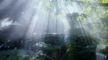 The Tropical jungle with river and sun beam and foggy in the garden.