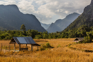 Rice stubble field near Muang Ngoi Neua village, Laos.