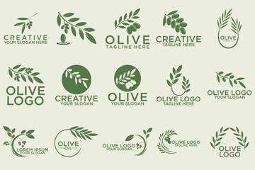 Fototapeta na wymiar olive branch logo design with green logo