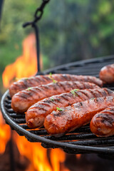 Spicy and hot sausage with herbs and spices on grill