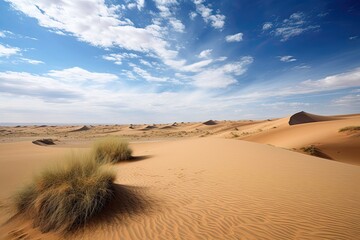 Fototapeta na wymiar Exploring the Wild Arid Desert: An Adventure through Sand Dunes and Nature in Namibia and the Sahara: Generative AI
